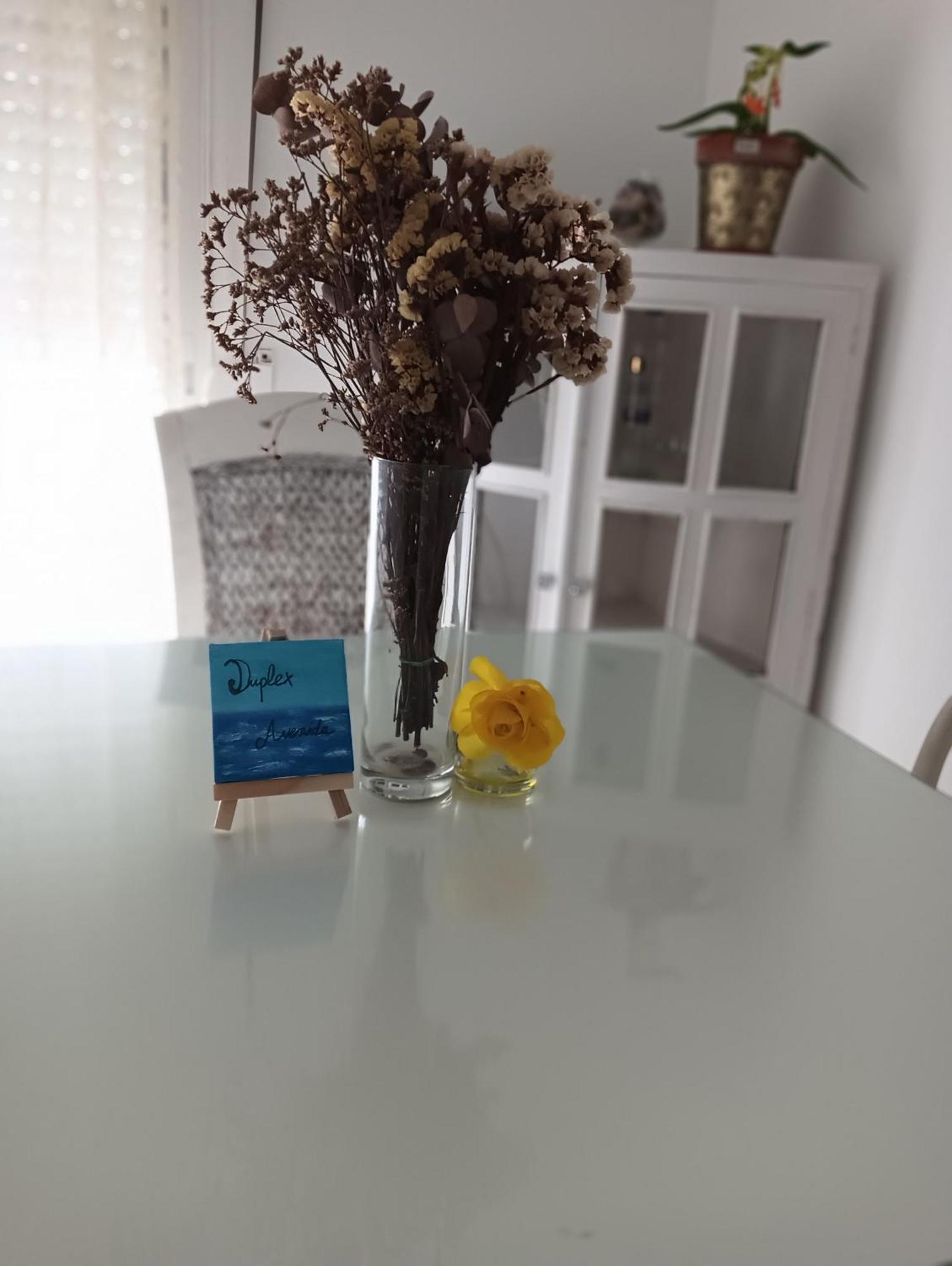 타리파 Duplex Avenida 아파트 외부 사진